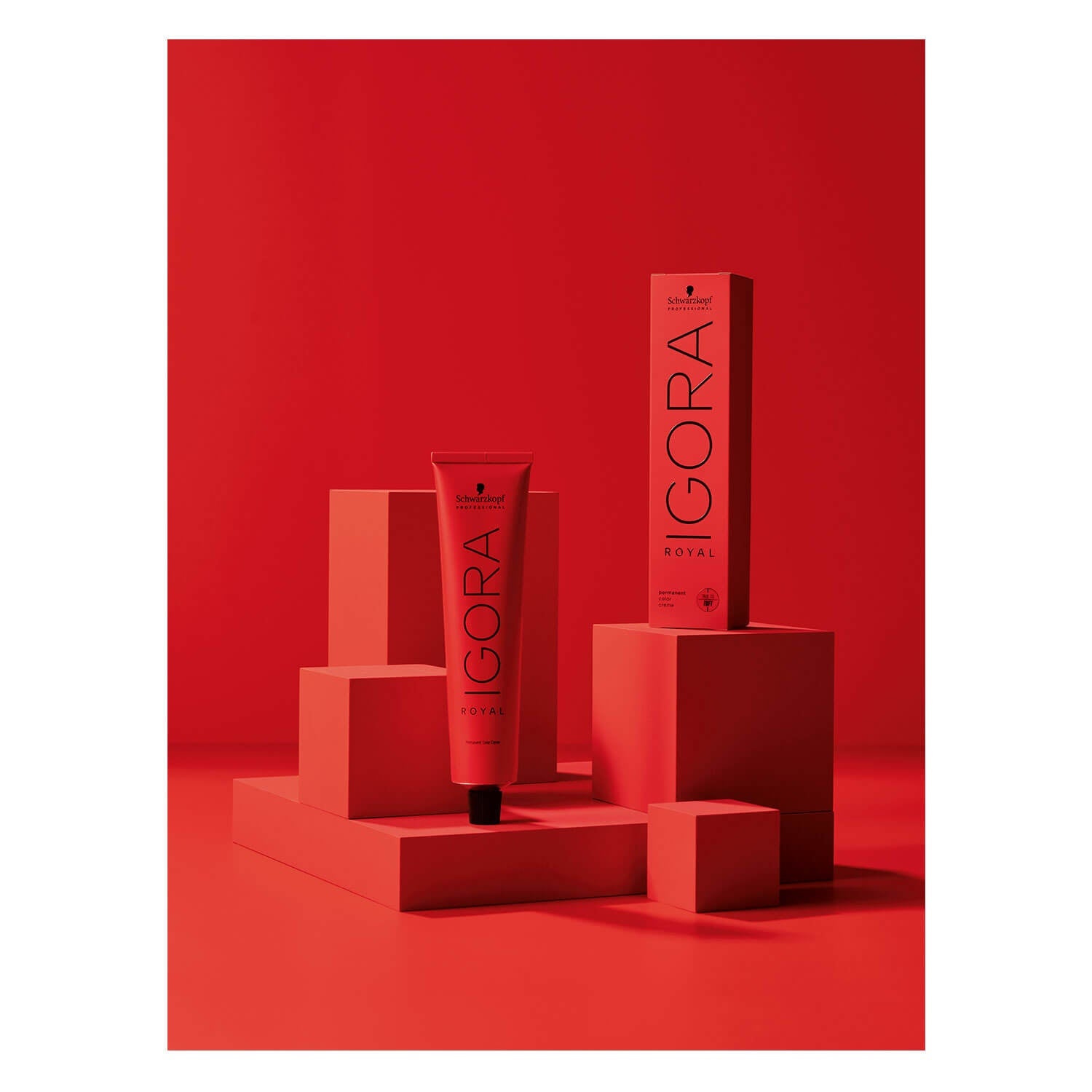 Schwarzkopf