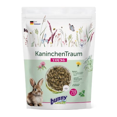 bunny Kaninchen Traum Young