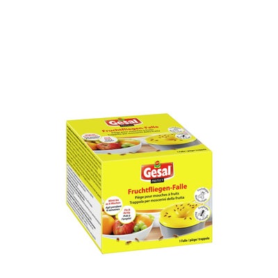 piège pour mouches à fruits