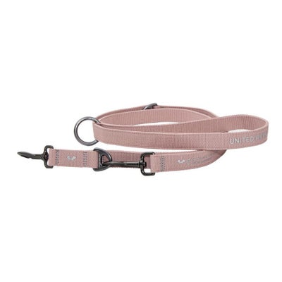 Citylife laisse de chien rose, 1.5x240cm