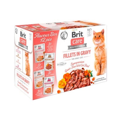 Fel Adult in Gravy Flavour box 4 Sorten 12 x 85 g