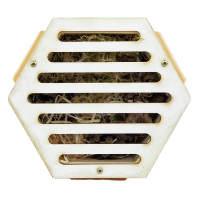 Insektenmodul Käfer