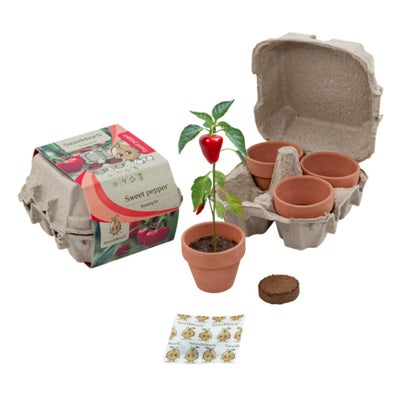 Eierkarton-Set Paprika (4-teilig) Eierkarton-Set Paprika (4-teilig)