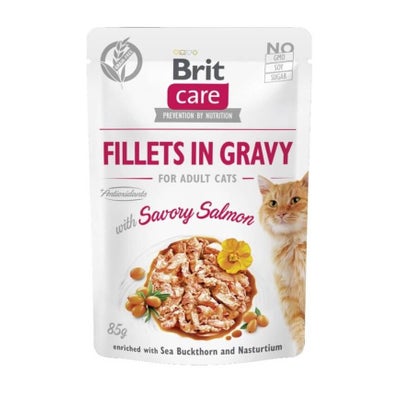 Fel Adult in Gravy saumon 24 x 85 g