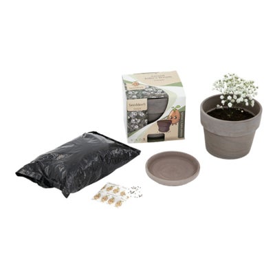 Lot de pots en basalte, gypsophile (3 pièces) Lot de pots en basalte, gypsophile (3 pièces)