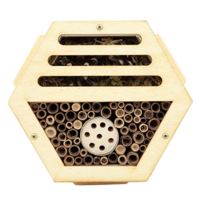 Insektenmodul Nützlinge