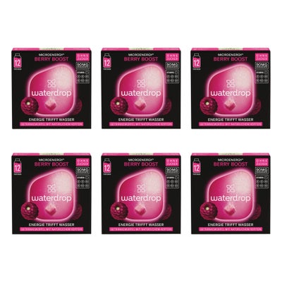 Microenergy Berry Boost 6 x 12 Stk