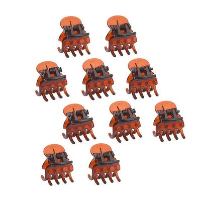 Mini-Haarklammern Havanna Mini-Haarklammern Havanna