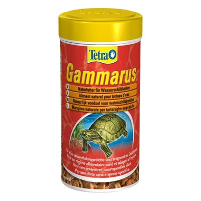 Gammarus
