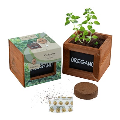 Holzbox-Set Oregano (3-teilig) Holzbox-Set Oregano (3-teilig)