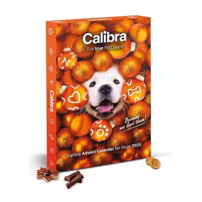 Adventskalender für Hunde