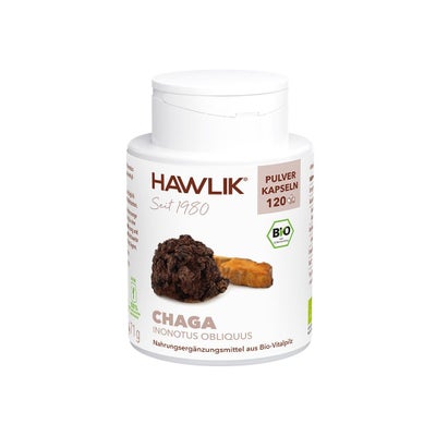 Chaga Pulver Bio Kapseln Chaga Pulver Bio Kapseln