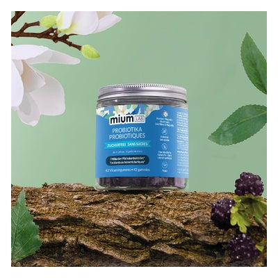 Gummies Probiotika