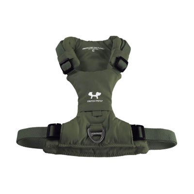 Citylife harnais pour chiens vert, tour de ventre 38-48cm