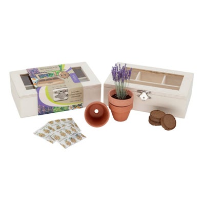 Coffret en bois avec fenêtre, herbes pour le thé (7 pièces) Coffret en bois avec fenêtre, herbes pour le thé (7 pièces)