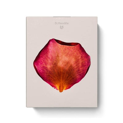 calendrier de l'Avent de Noël