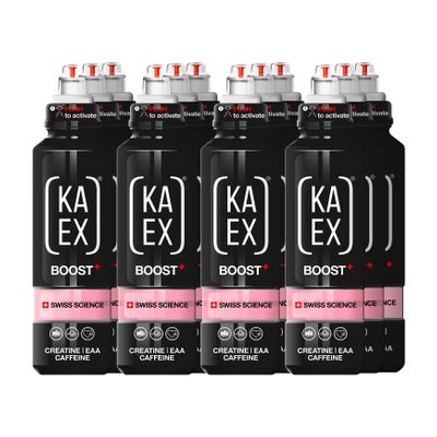GO BOOST 12 x 460 ml