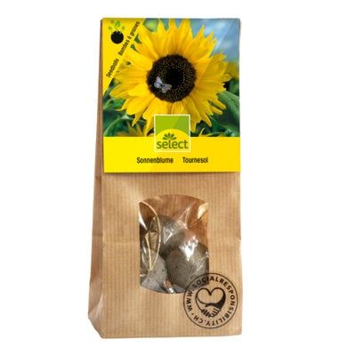 Seedballs Sonnenblumen im Stehbeutel Seedballs Sonnenblumen im Stehbeutel