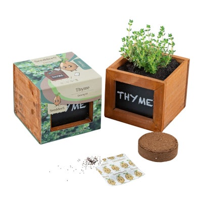Holzbox-Set Thymian (3-teilig) Holzbox-Set Thymian (3-teilig)