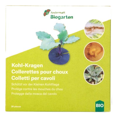 Kohl-Kragen Kohl-Kragen