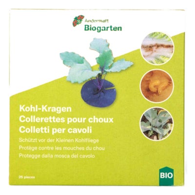 Kohl-Kragen