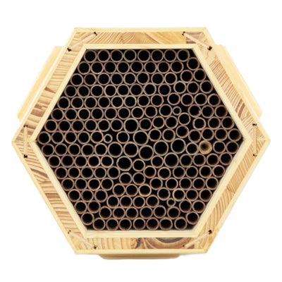 Insektenmodul Rote Mauerbienen Insektenmodul Rote Mauerbienen