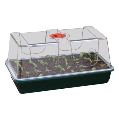 Set Anzuchthaus, gross, 58 x 40 x 22 cm Set Anzuchthaus, gross, 58 x 40 x 22 cm