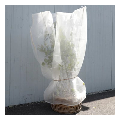 Drosal Schutznetz Beerensträucher Drosal Schutznetz Beerensträucher