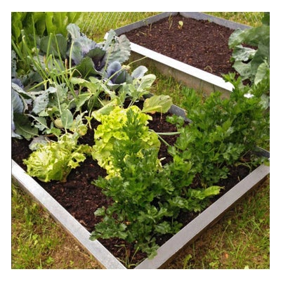 Schneckenzaun-Element, Länge 0.5m, Höhe 25cm Schneckenzaun-Element, Länge 0.5m, Höhe 25cm