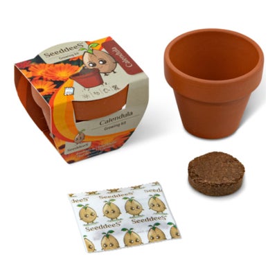Terrakottatopf-Set Calendula (3-teilig) Terrakottatopf-Set Calendula (3-teilig)