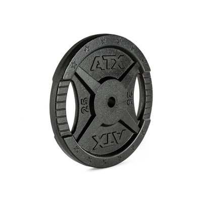 Hantelscheibe Guss Gripper 30 mm, 25 kg