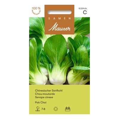 Pak Choi Chinesischer Senfkohl Pak Choi Chinesischer Senfkohl