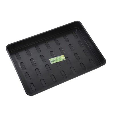 Aussaatschale medium 37 x 23 x 6 cm, ohne Löcher Aussaatschale medium 37 x 23 x 6 cm, ohne Löcher