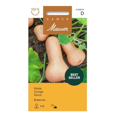 Kürbis Butternut Kürbis Butternut